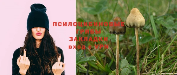 spice Алексеевка