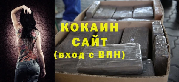 гашик Пестово
